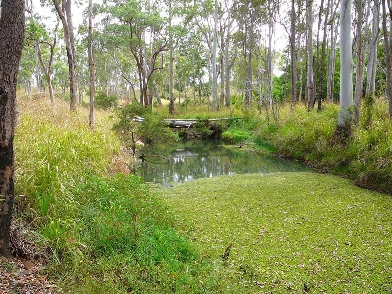 13185 Kennedy Hwy, Ravenshoe QLD 4888