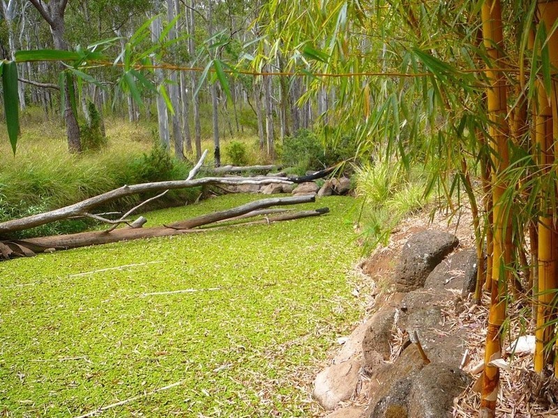 13185 Kennedy Hwy, Ravenshoe QLD 4888