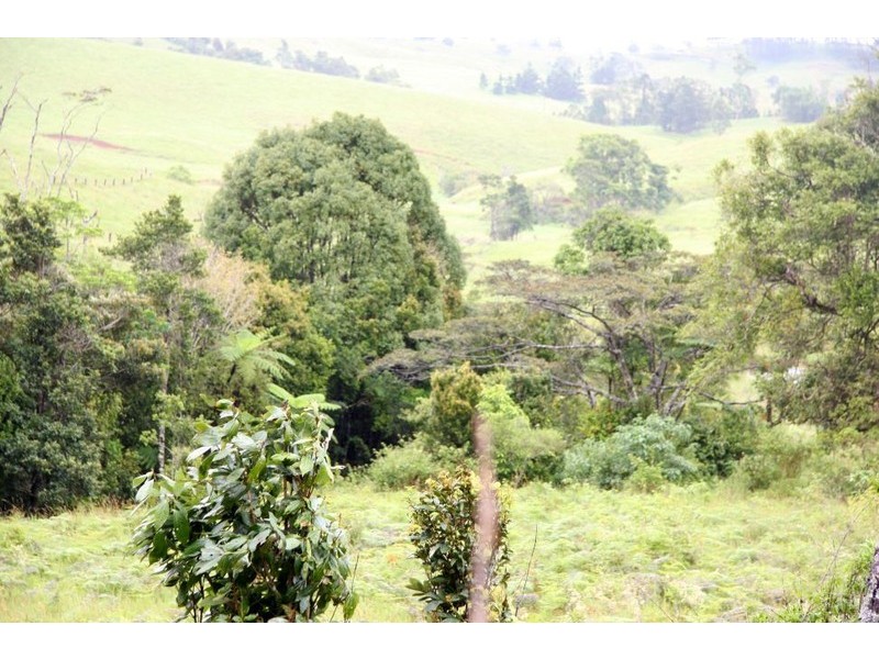 Malanda QLD 4885