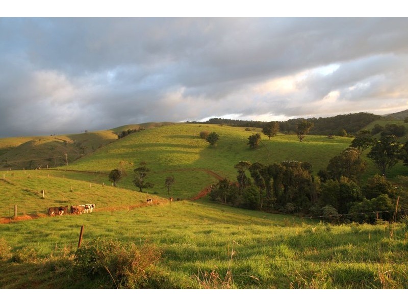 Millaa Millaa QLD 4886