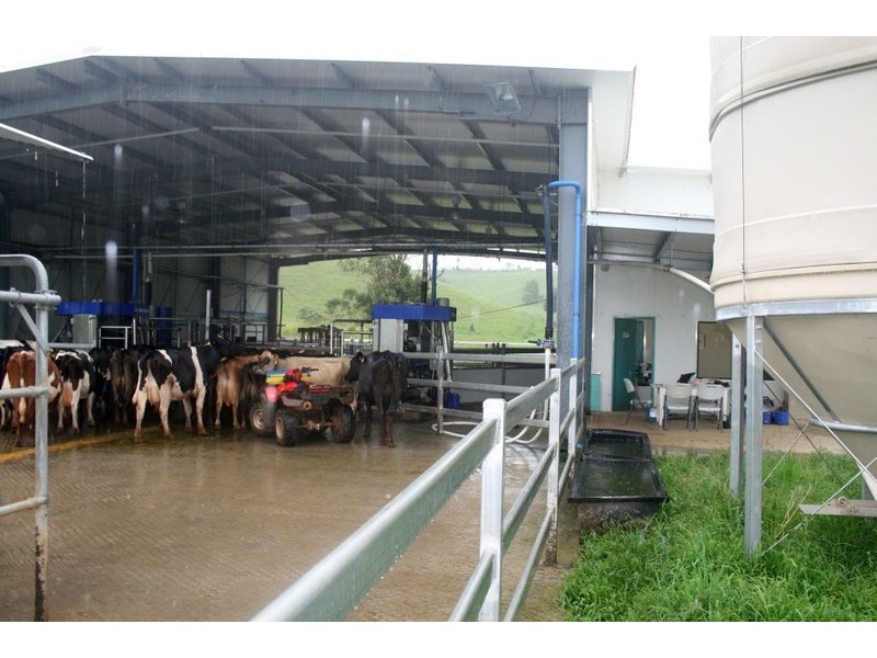 Millaa Millaa QLD 4886