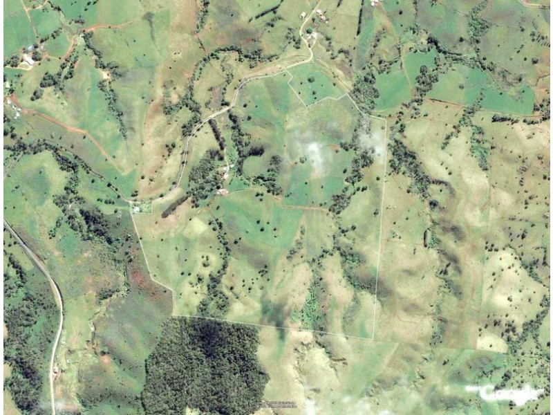 Millaa Millaa QLD 4886