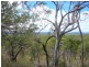 551 Mt Mulligan Rd, Dimbulah QLD 4872