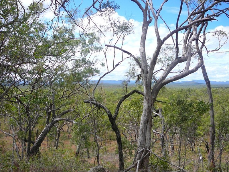 551 Mt Mulligan Rd, Dimbulah QLD 4872