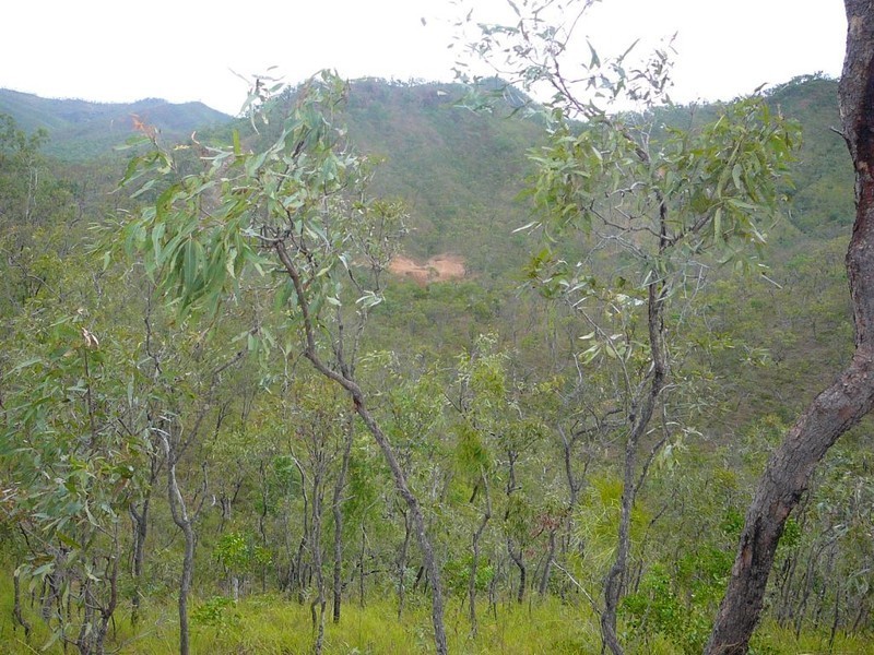 551 Mt Mulligan Rd, Dimbulah QLD 4872