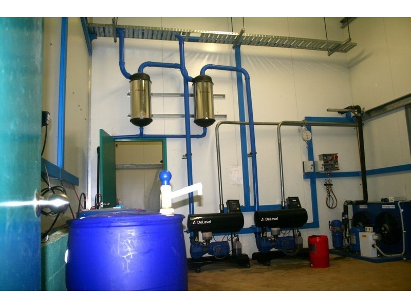 Millaa Millaa QLD 4886