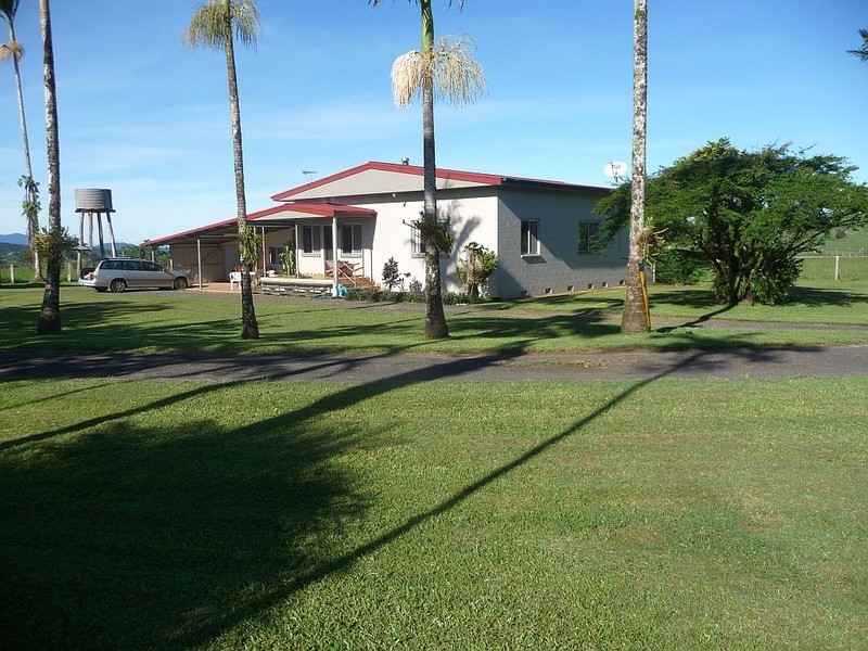 Millaa Millaa QLD 4886