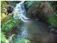Millaa Millaa QLD 4886