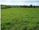 Millaa Millaa QLD 4886