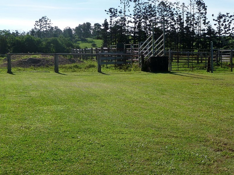 Millaa Millaa QLD 4886