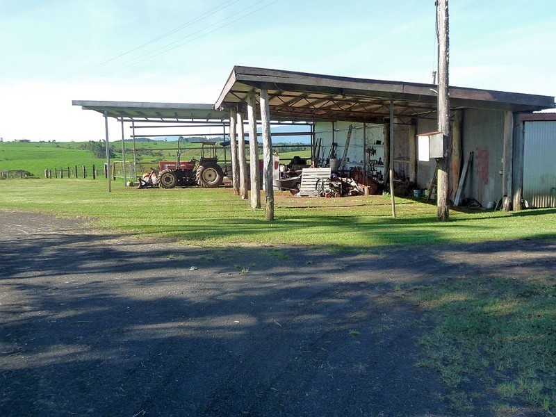 Millaa Millaa QLD 4886