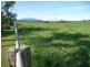 Millaa Millaa QLD 4886