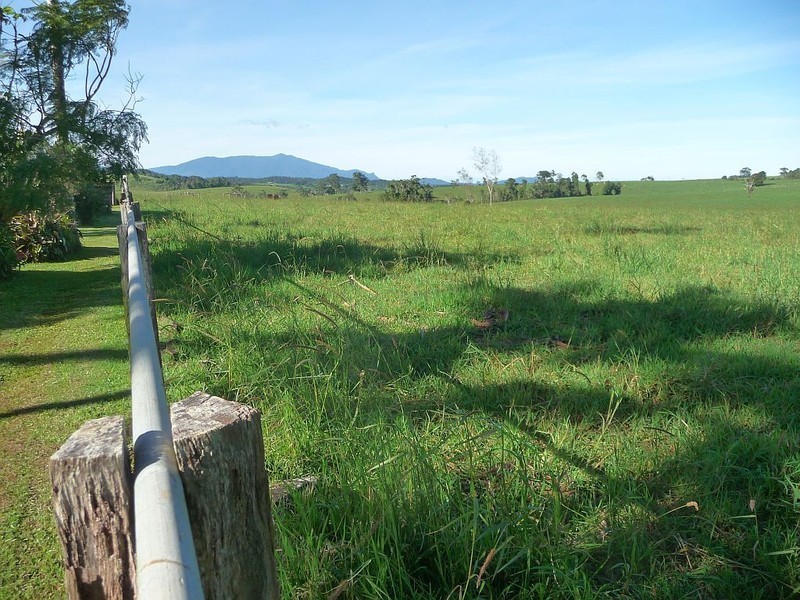Millaa Millaa QLD 4886