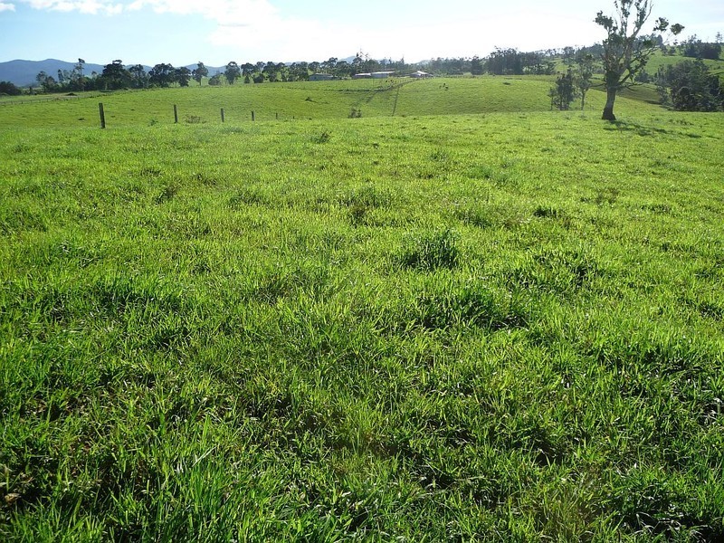 Millaa Millaa QLD 4886