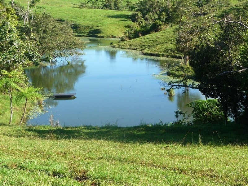 Millaa Millaa QLD 4886