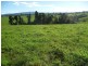 Millaa Millaa QLD 4886