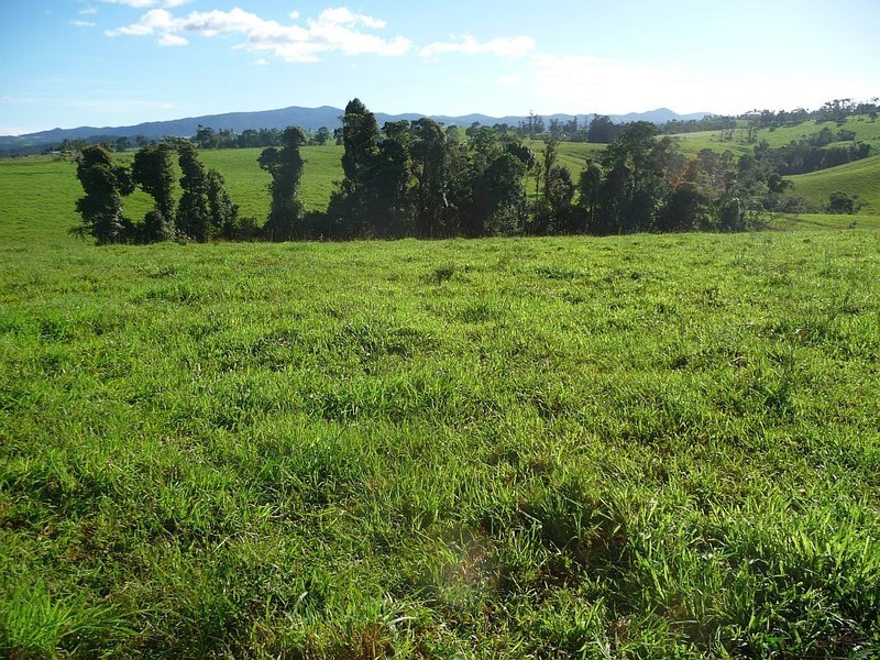 Millaa Millaa QLD 4886