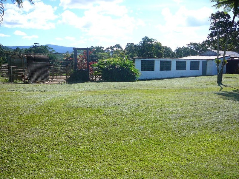 Millaa Millaa QLD 4886