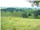 Millaa Millaa QLD 4886
