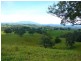 Millaa Millaa QLD 4886