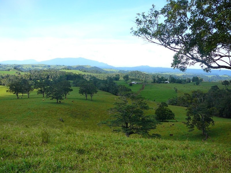 Millaa Millaa QLD 4886