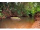 Tarzali QLD 4885