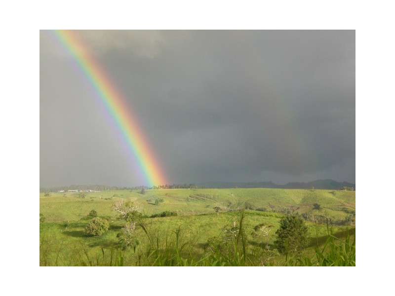 Millaa Millaa QLD 4886