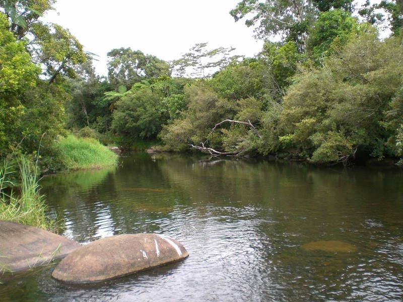 Millaa Millaa QLD 4886