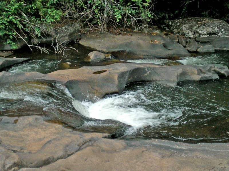 Millaa Millaa QLD 4886