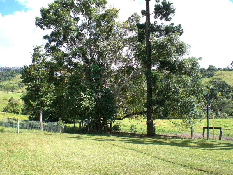 Millaa Millaa QLD 4886