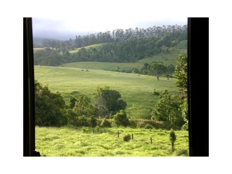 Millaa Millaa QLD 4886