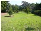 298 Fumar Rd, Mareeba QLD 4880