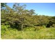 Topaz QLD 4885