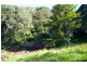 Topaz QLD 4885