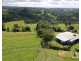 Millaa Millaa QLD 4886