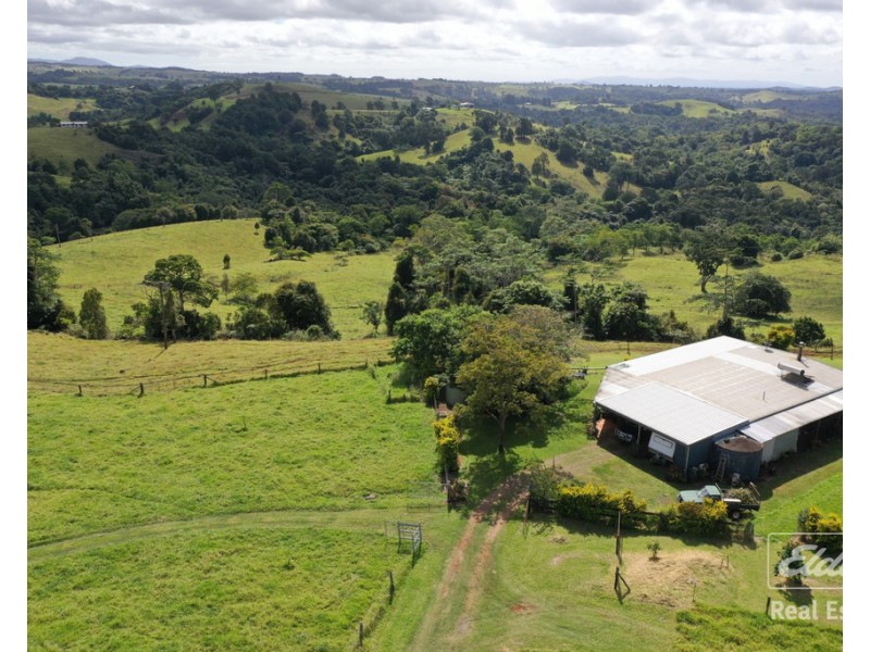 Millaa Millaa QLD 4886