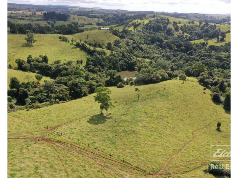 Millaa Millaa QLD 4886