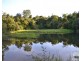 Millaa Millaa QLD 4886