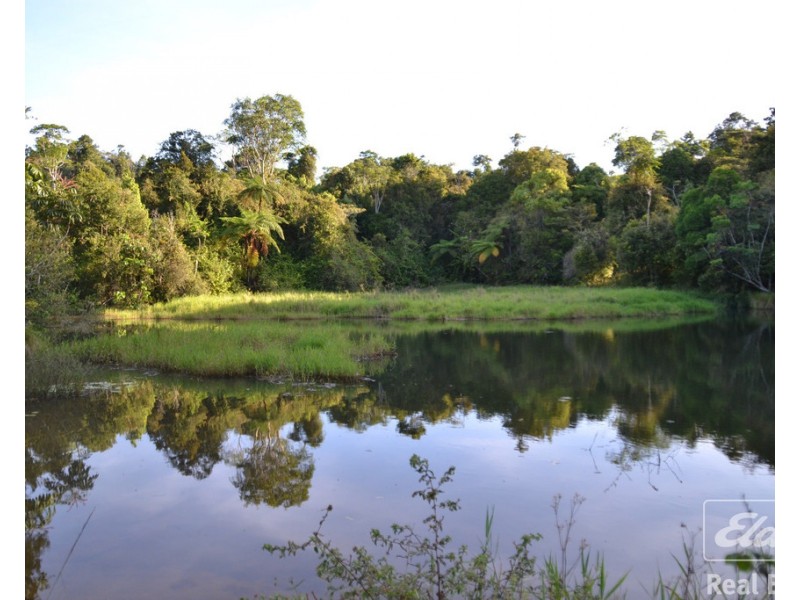 Millaa Millaa QLD 4886