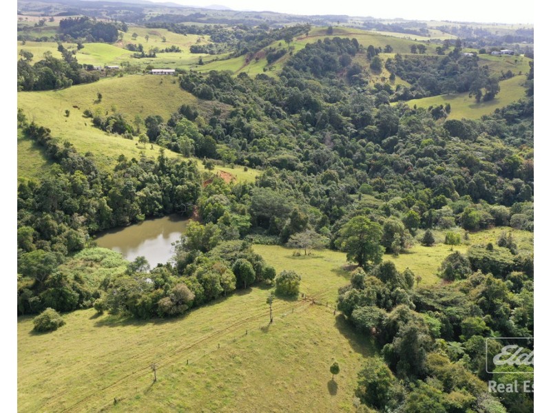 Millaa Millaa QLD 4886