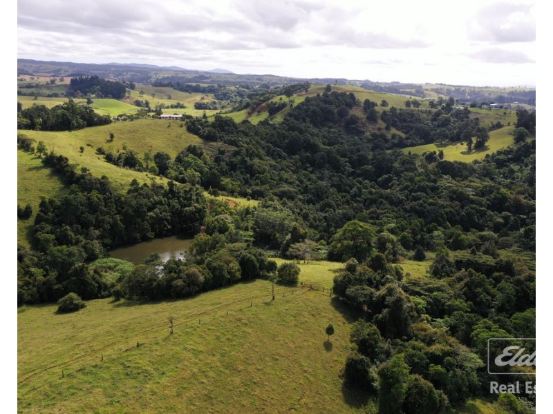 Millaa Millaa QLD 4886
