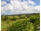 Millaa Millaa QLD 4886