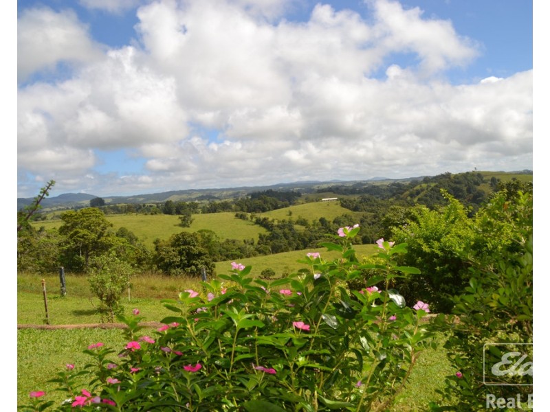 Millaa Millaa QLD 4886