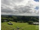 Millaa Millaa QLD 4886