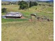 Millaa Millaa QLD 4886