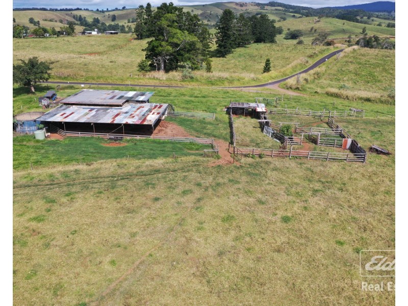 Millaa Millaa QLD 4886