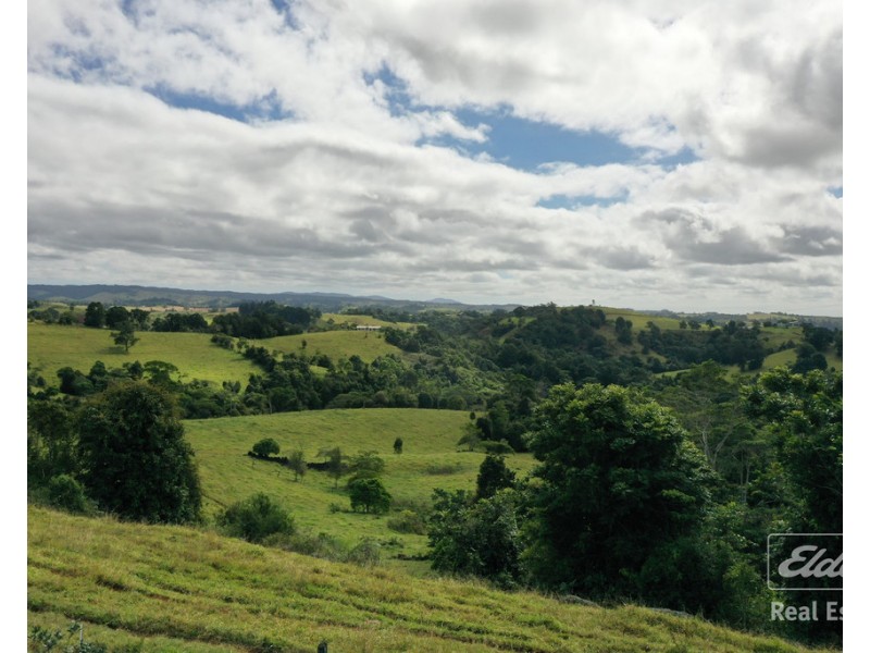 Millaa Millaa QLD 4886