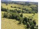 Millaa Millaa QLD 4886