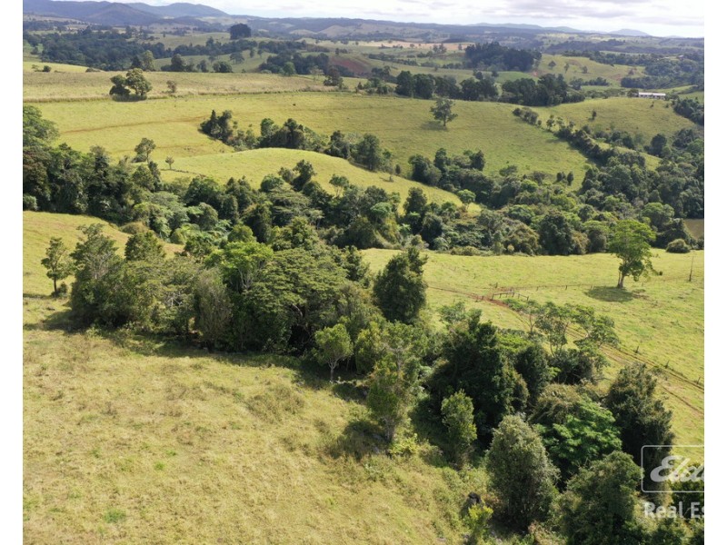 Millaa Millaa QLD 4886