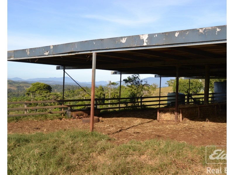 Millaa Millaa QLD 4886